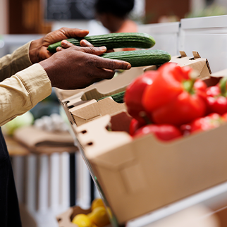 Pensão alimentícia: como funciona e quem tem direito?